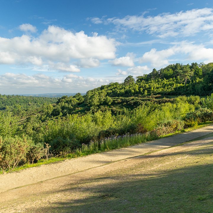 Haslemere city landmark