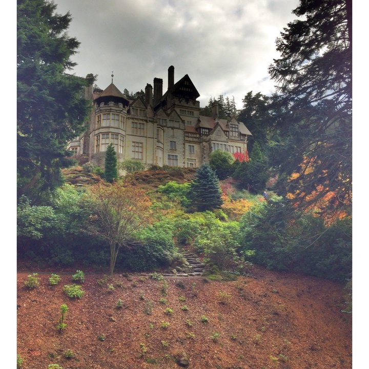 Rothbury city landmark